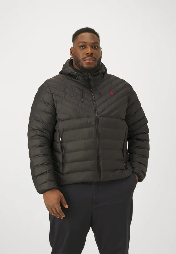TERRA CHVRON INSULATED PLUS SIZE - Übergangsjacke - black