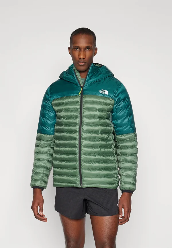 TERRA PEAK HOODIE - Winterjacke - duck green/deep nori