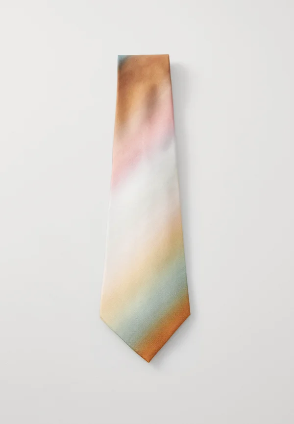 TIE STRIPE UNISEX - Krawatte - multi-coloured