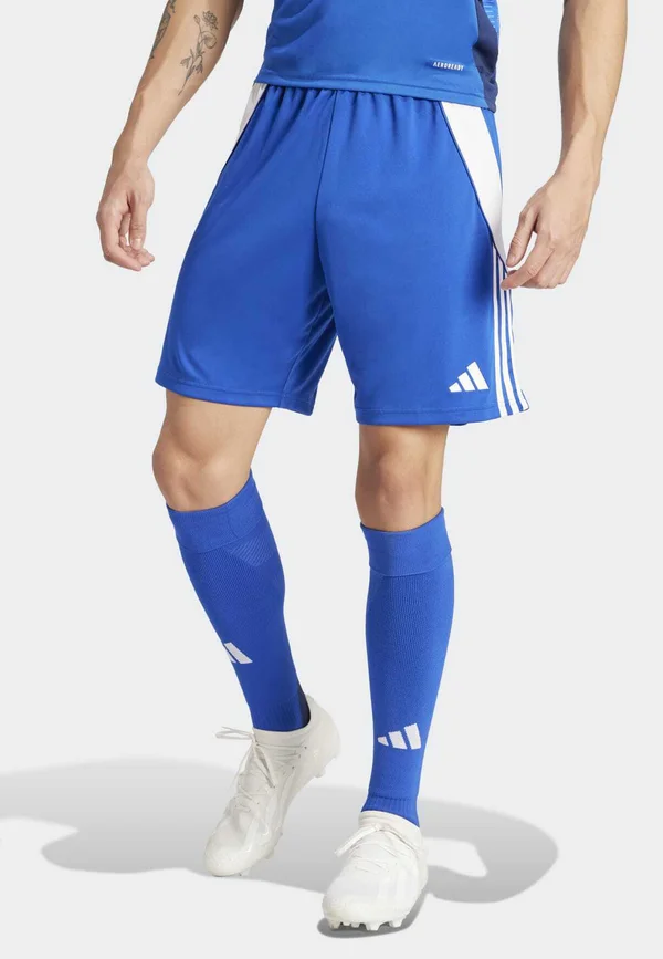 TIRO 24 - Kurze Sporthose - team royal blue/white