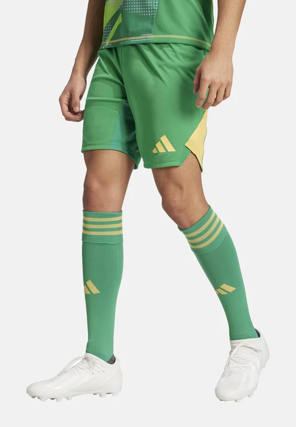 TIRO 24 PRO - Kurze Sporthose - gruen