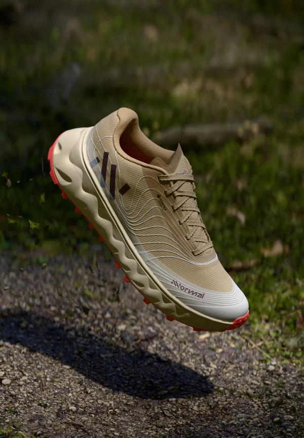 TOMIR 2.0 GTX UNISEX - Laufschuh Trail - beige/white