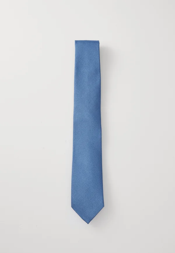 TONAL STRUCTURE  - Krawatte - delta blue