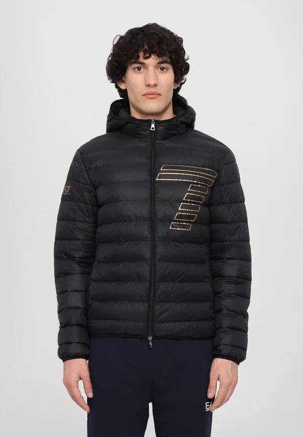 TRAIN GRAPHIC SERIES LIGHT HOODED JACKET BIG  - Übergangsjacke - black/gold