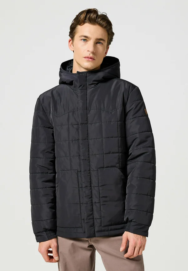 TRANSITIONAL PUFFER - Winterjacke - black