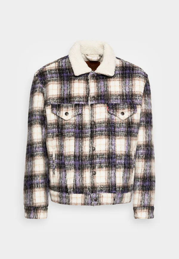 TRUCKER - Winterjacke - nico tofu
