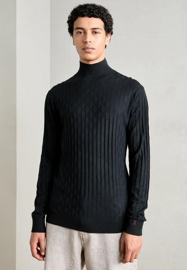 TURTLE NECK REGULAR FIT RELIEF - Strickpullover - black