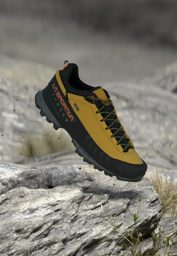 TX5 LOW GTX - Hikingschuh - savana/tiger