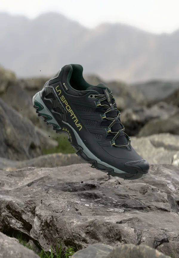 ULTRA RAPTOR II GTX - Hikingschuh - black/cedar
