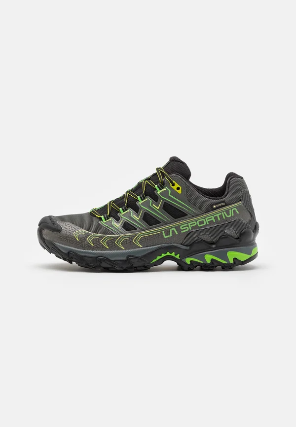 ULTRA RAPTOR II GTX - Hikingschuh - metal/flash green