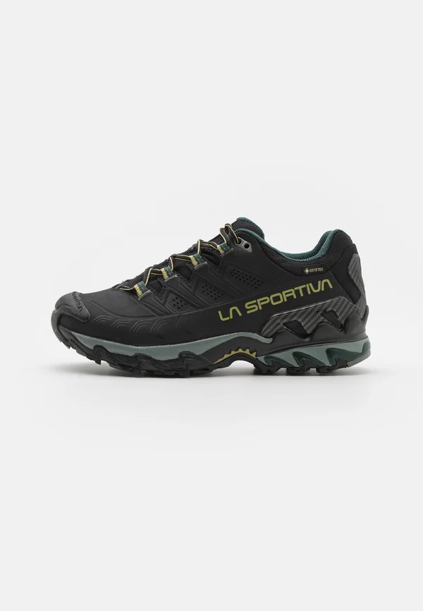 ULTRA RAPTOR II LEATHER GORE TEX - Hikingschuh - black/cedar