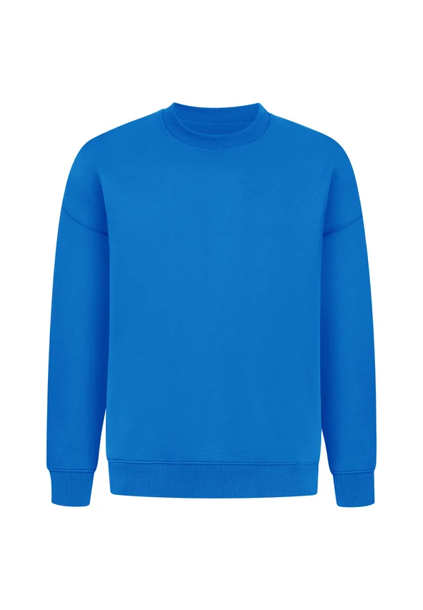 UNISEX BRAIL SOLID - Sweatshirt - blau