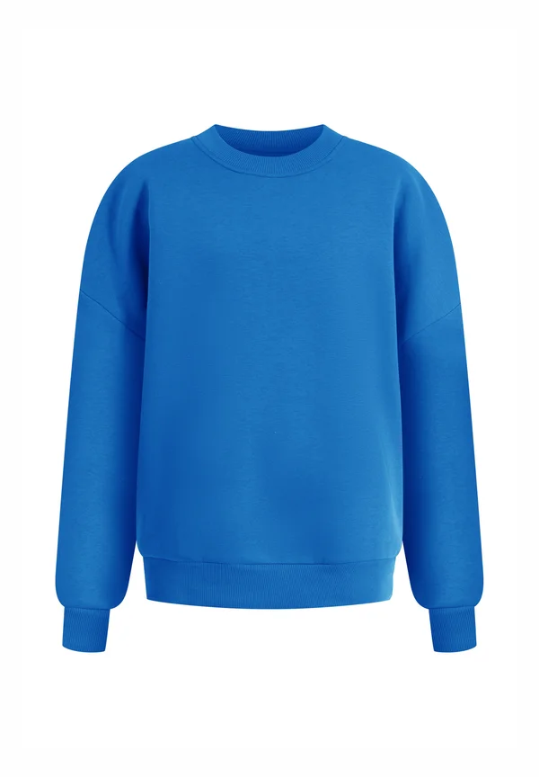 UNISEX BRAIL - Sweatshirt - blau