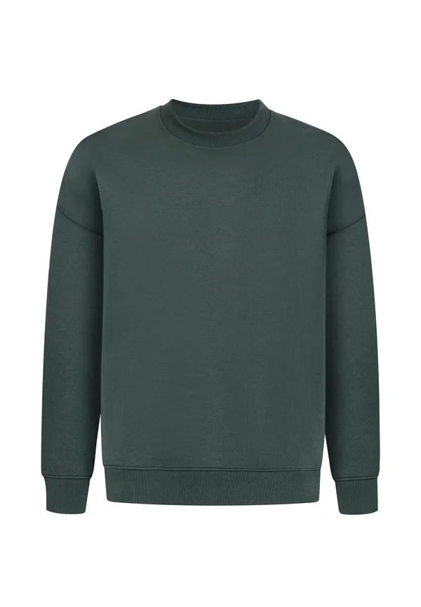UNISEX BRAIL - Sweatshirt - grün