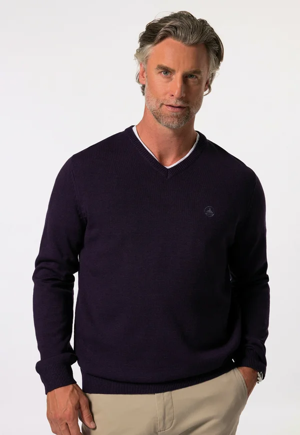 V-AUSSCHNITT - Strickpullover - dark violet