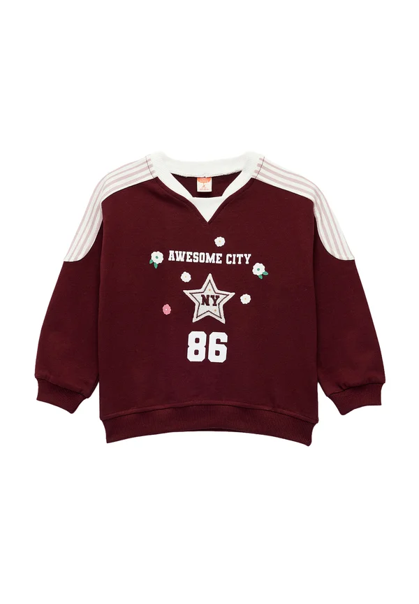 V-NECK PRINTED - Sweatshirt - bordeaux