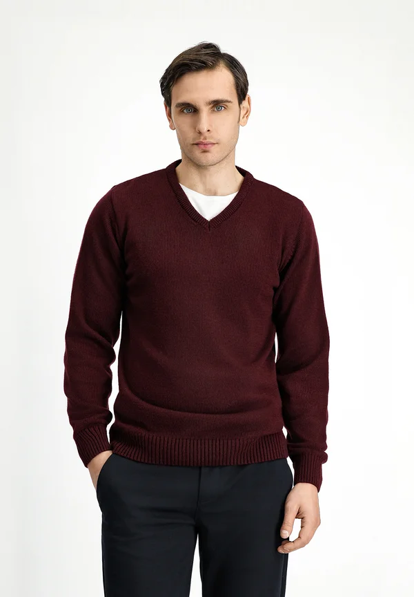 V NECK REGULAR FIT - Strickpullover - dark burgundy