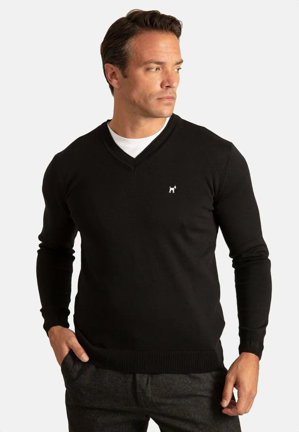V-NECK - Strickpullover - black