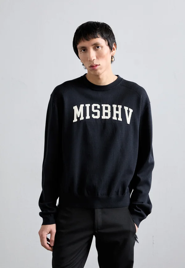 VARSITY CREW NECK - Strickpullover - black