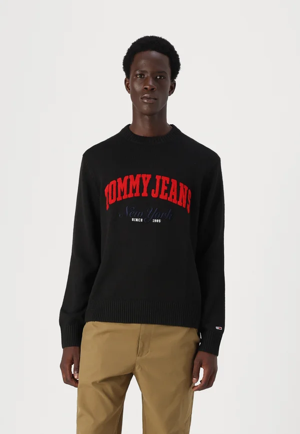 VARSITY CREW  - Strickpullover - black