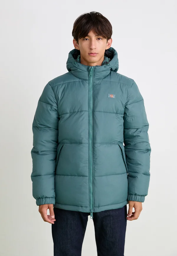 WALDENBURG HOODED - Winterjacke - lincoln green