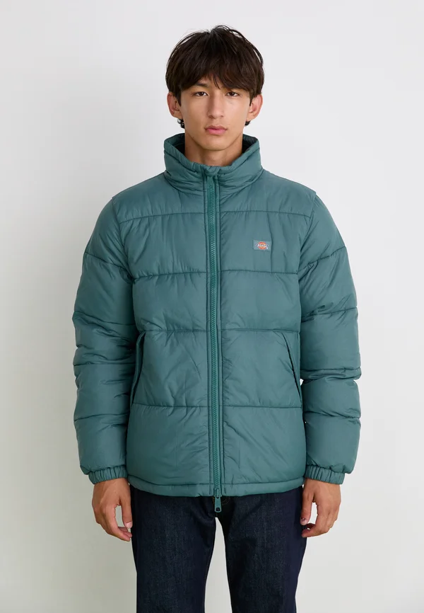 WALDENBURG JACKET - Winterjacke - lincoln green