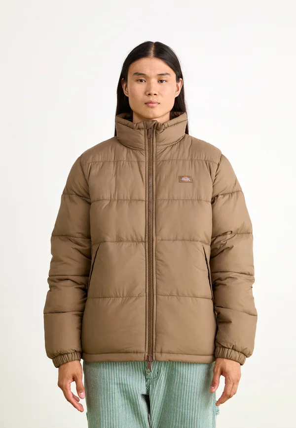 WALDENBURG JACKET - Winterjacke - mushroom