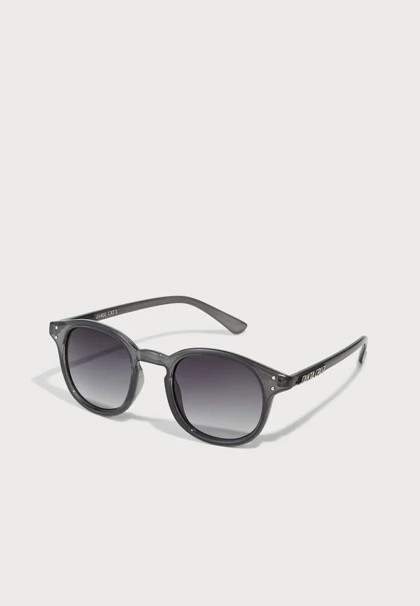 WATSON SUNGLASSES UNISEX - Sonnenbrille - frosted black