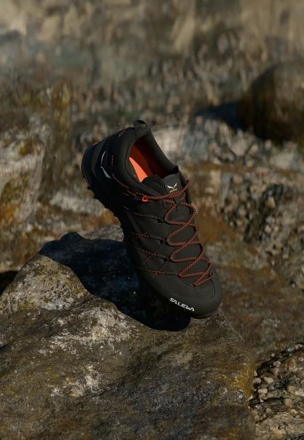 WILDFIRE 2 - Hikingschuh - black