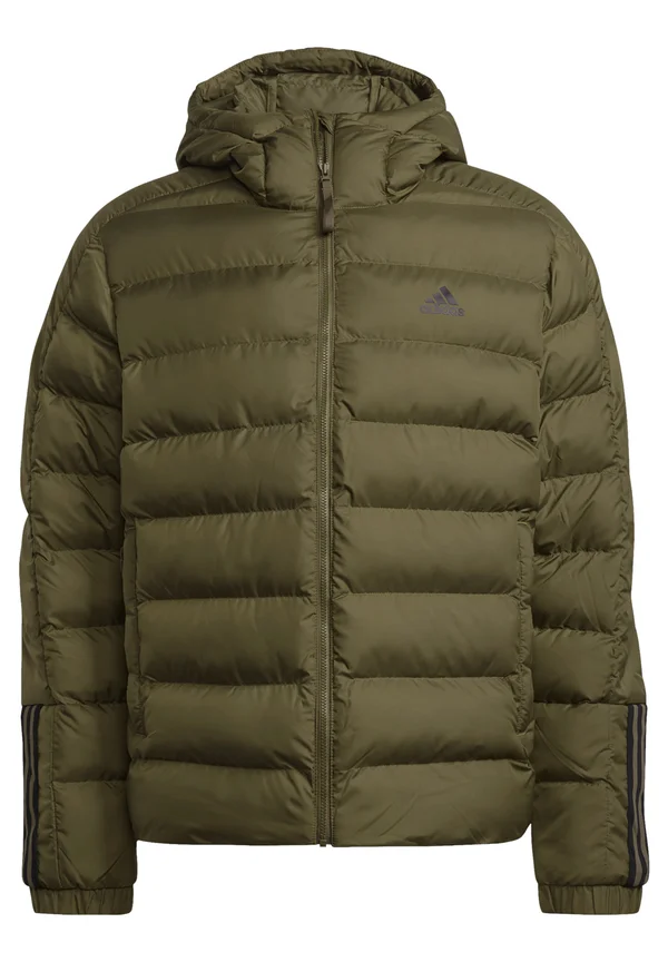 Winterjacke - gruen