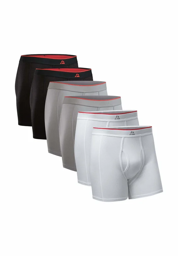 WITH FLY 6 PACK - Panties - black grey white