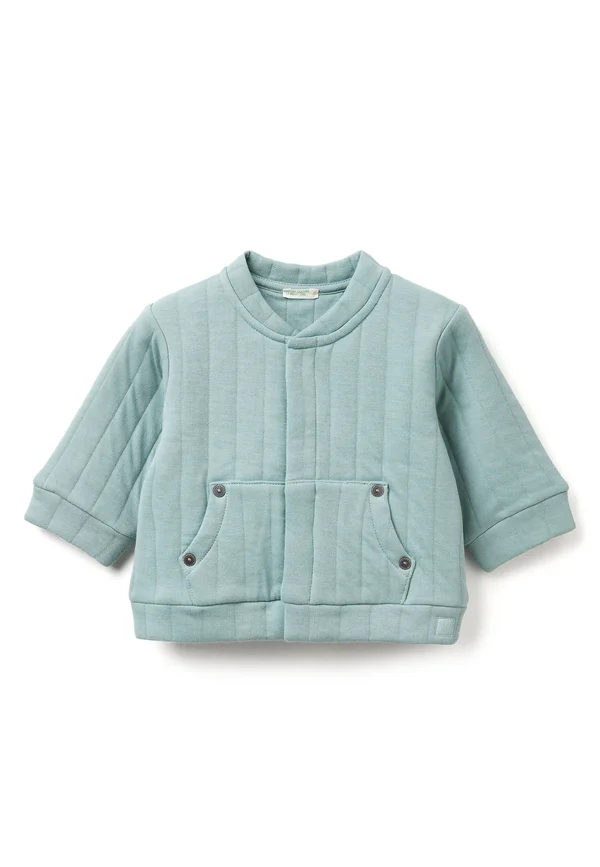 WITH LIGHT PADDING - Übergangsjacke - green