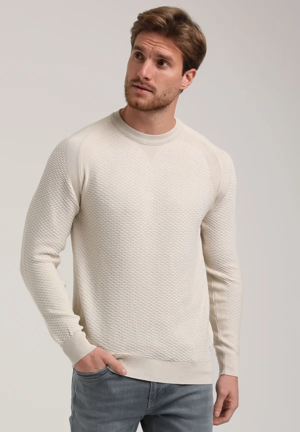 WITH STRUCTURE - Strickpullover - sand
