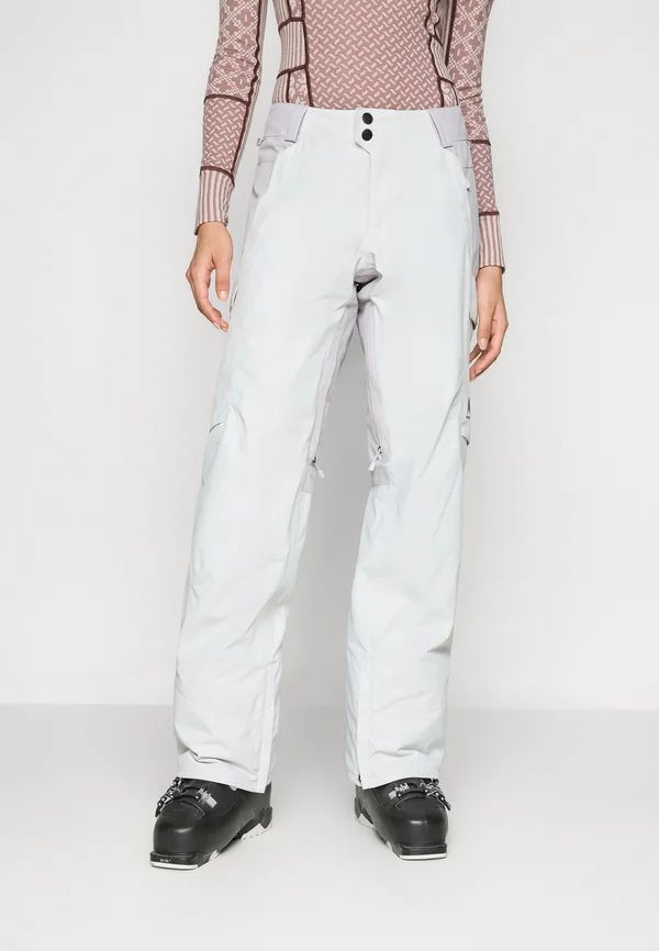 WOMENS RESERVE INSULATED PANTS - Skihose - graycl/wshlav