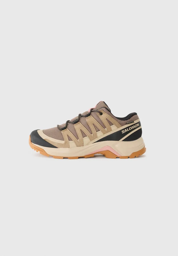 X ADVENTURE RECON GTX - Hikingschuh - falcon/desert tan/hyma pink