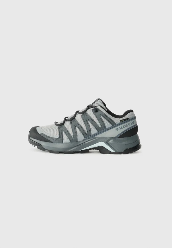 X ADVENTURE RECON GTX - Hikingschuh - grey/blue