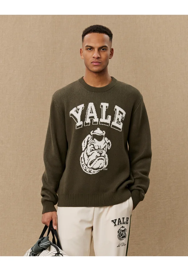 YALE BULLDOG ROUND NECK UNISEX - Strickpullover - duffel bag green/ivory