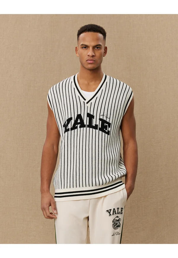 YALE PINSTRIPE V NECK VEST UNISEX - Strickpullover - ivory/black
