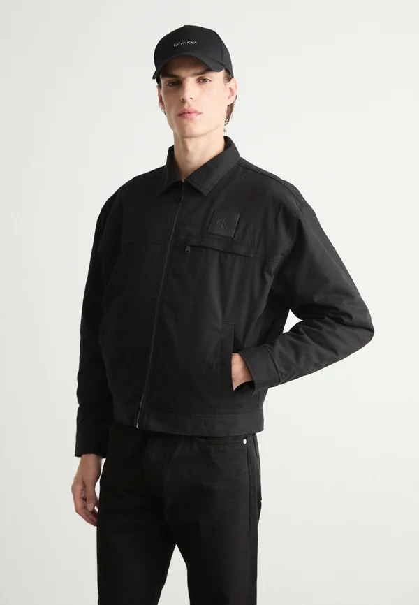 ZIP JACKET - Übergangsjacke - black